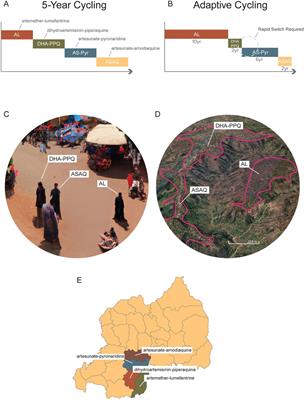 Breaking the cycle of malaria treatment failure